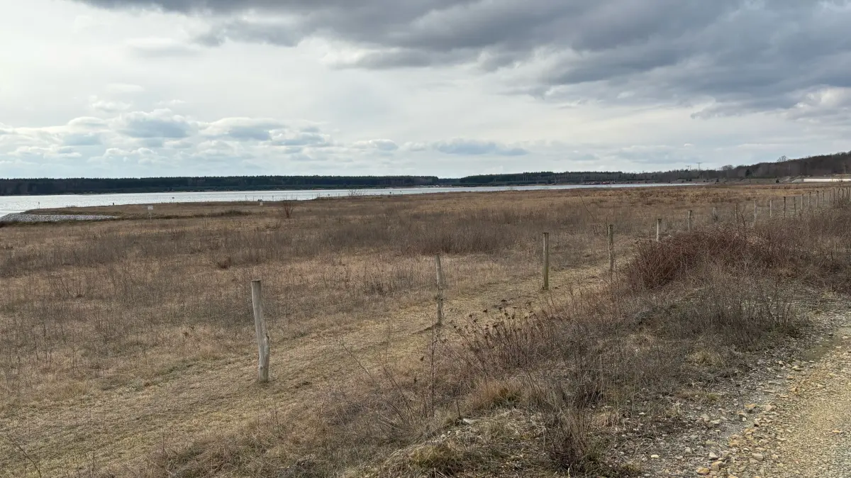Blick auf das künftige Wohnbaugebiet Sedlitzer Bucht am Sedlitzer See. Bislang ist auf der Fläche erschließungstechnisch nichts passiert. Das hat einen Grund.