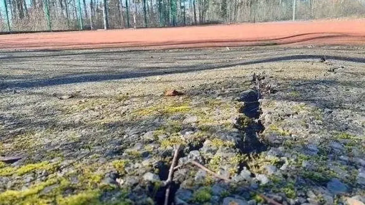 Wurzelaufbrüche haben die Oberfläche des Allwetterplatzes beschädigt – der Boden ist an mehreren Stellen aufgerissen.