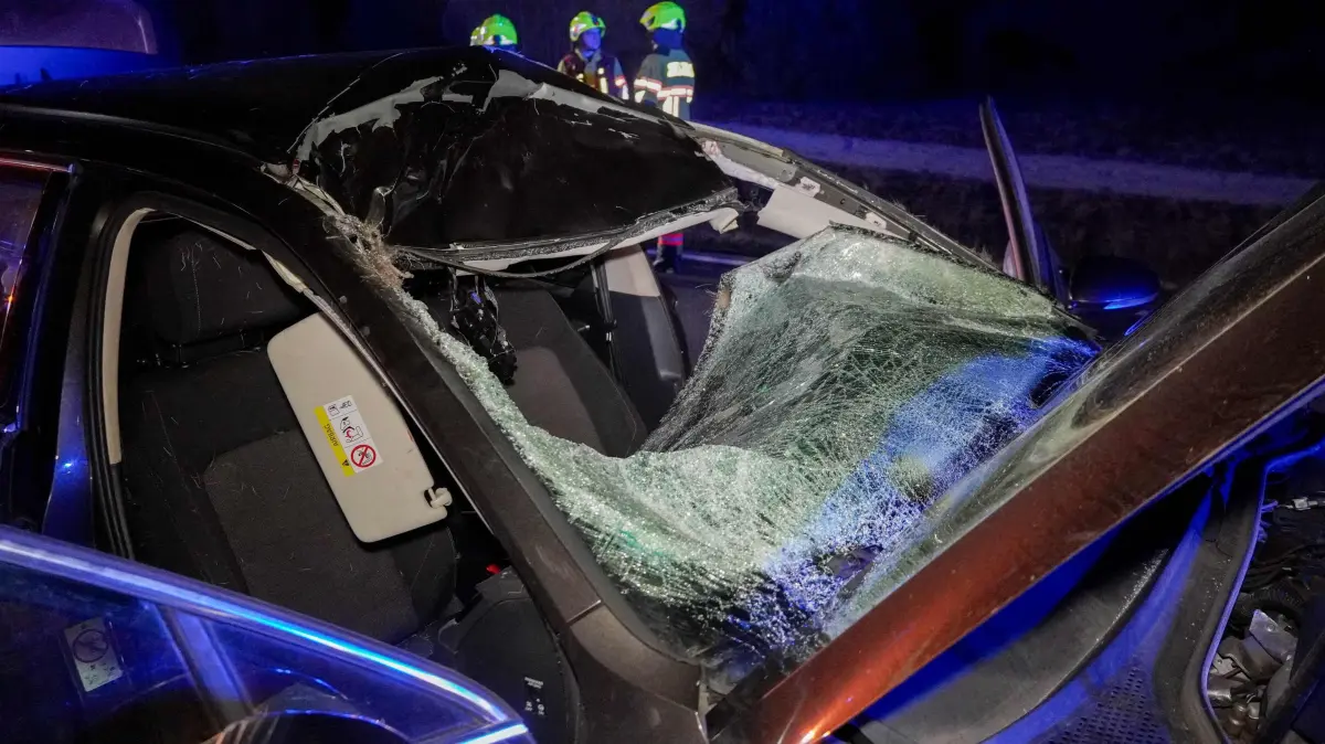 Wilunfall auf der B156 zwischen Boxberg/O.L. und Weißwasser/Oberlausitz. Ein Hirsch „kollidierte“ mit einem Pkw. Teile des Fahrzeugdaches sowie die komplette Frontscheibe wurden zerstört.