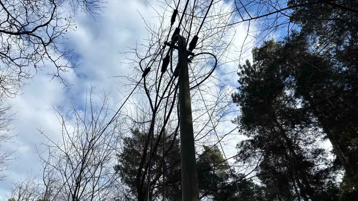 Lose Stücken des Telefonkabels baumeln von den Masten. Unbekannte haben mehrere Hundert Meter Leitung heruntergeschnitten. Mit gravierenden Folgen.