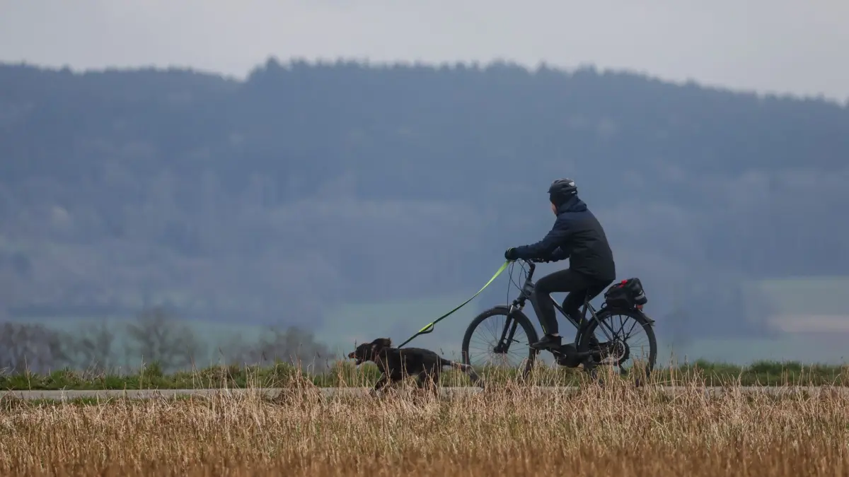 Wetter in Baden-Württemberg: 13.03.2026, Baden-Württemberg, Riedlingen: Eine Frau ist mit dem Fahrrad und ihrem Hund bei einstelligen Temperaturen unterwegs. Foto: Thomas Warnack/dpa +++ dpa-Bildfunk +++