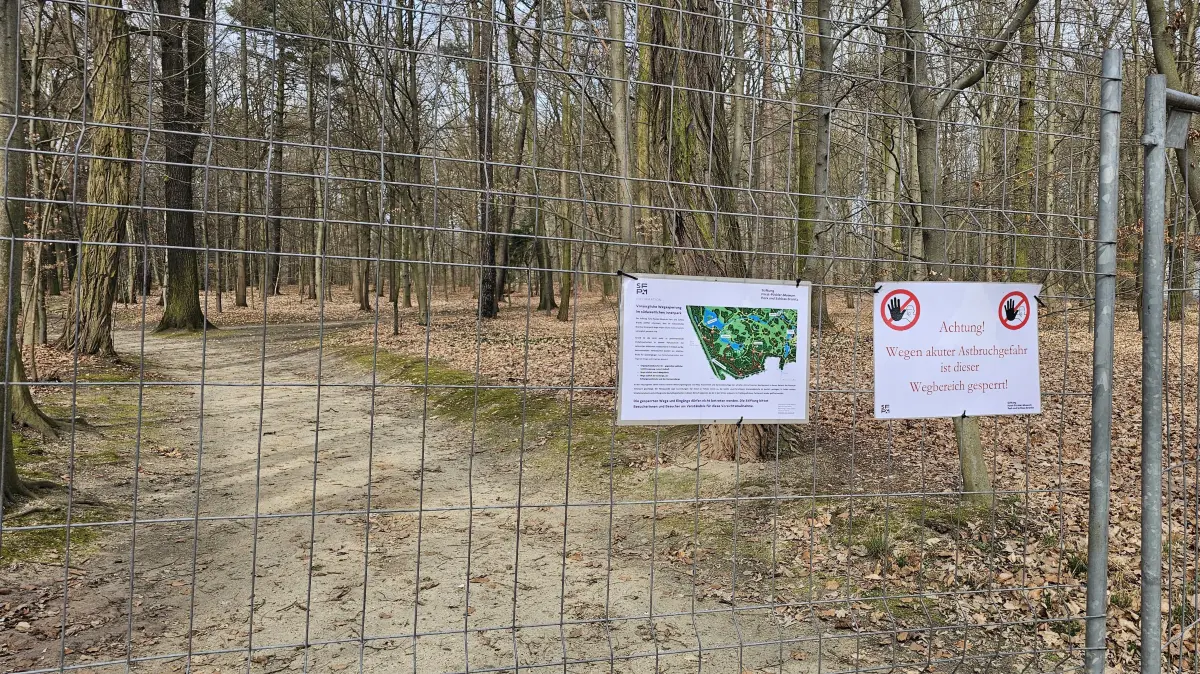 Sperrung von Wegen im Branitzer Park in Cottbus