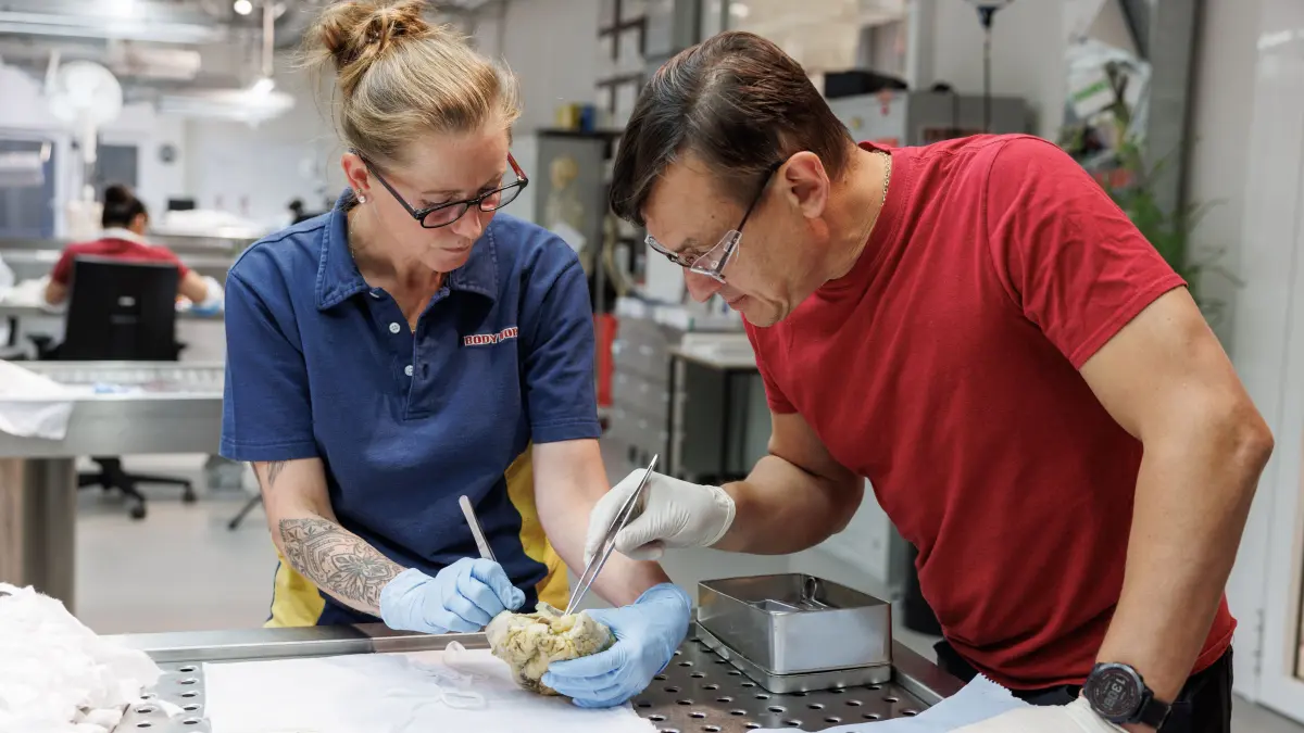 August 2025: Kleine präparatorische Arbeiten werden von Dr. Vladimir Chereminskiy und Nicole Kuhnke an Martinas Herz im Plastinarium in Guben vorgenommen.