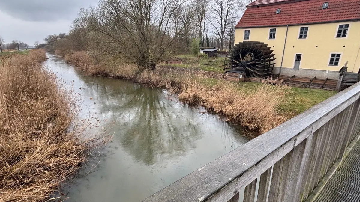 Der Eindruck täuscht. Auch wenn die Schwarze Elster an der Mühle in Plessa ausreichend Wasser zu haben scheint, ist der Pegel sehr niedrig.