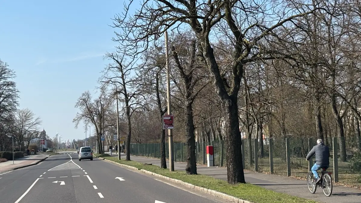 Impression aus der Briesker Straße in Richtung des namensgebenden Ortes. Die Bäume am nördlichen Fahrbahnrand sind die letzten Überbleibsel der alten Allee. Diese soll neu begründet werden.