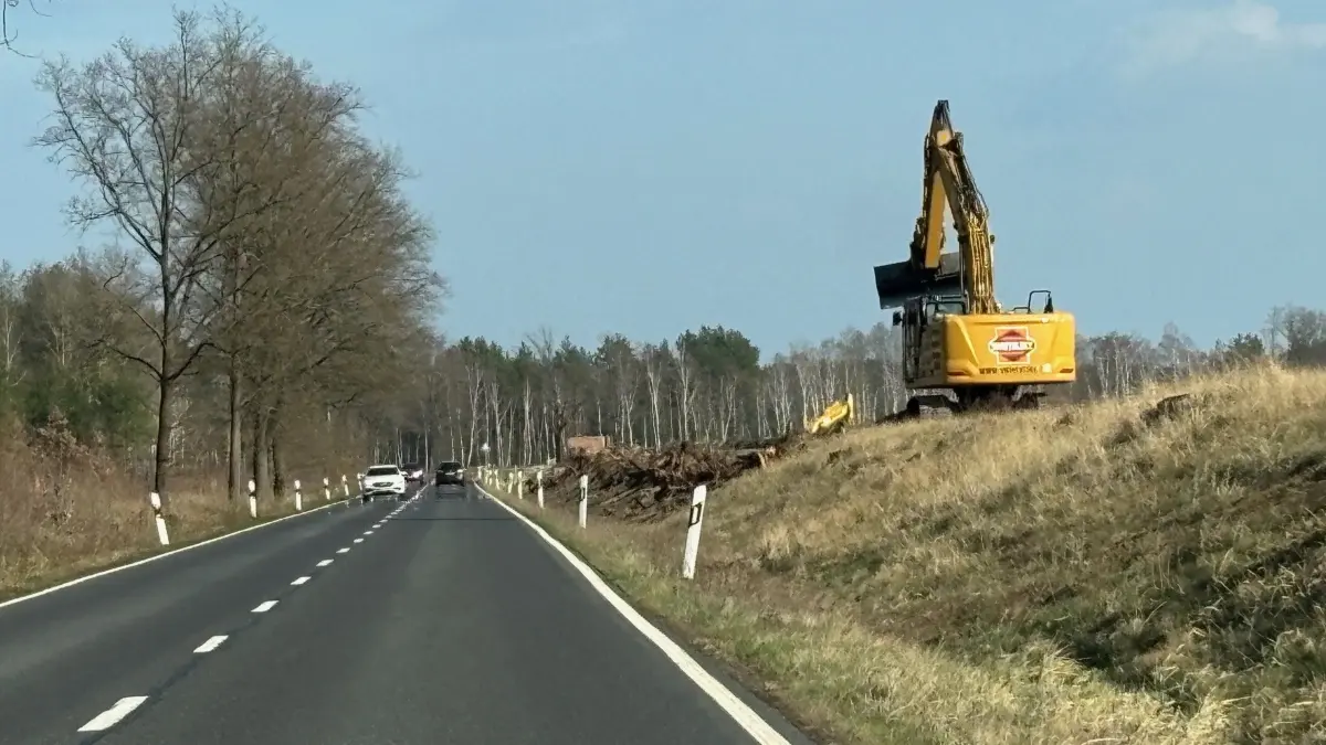 Bald wird es auf der S234 zwischen dem Brandenburger Tor und Neuwiese/Bergen Einschränkungen für Autofahrer geben. Diese haben mit der Deichbaustelle an der Schwarzen Elster zu tun.