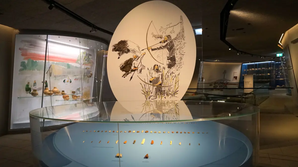 Blick in das Museum in der Slawenburg in Raddusch. Hier zu sehen sind neolithische Steinwerkzeuge und im Hintergrund Gefäße von verschiedenen Fundplätzen im Tagebaugebiet.