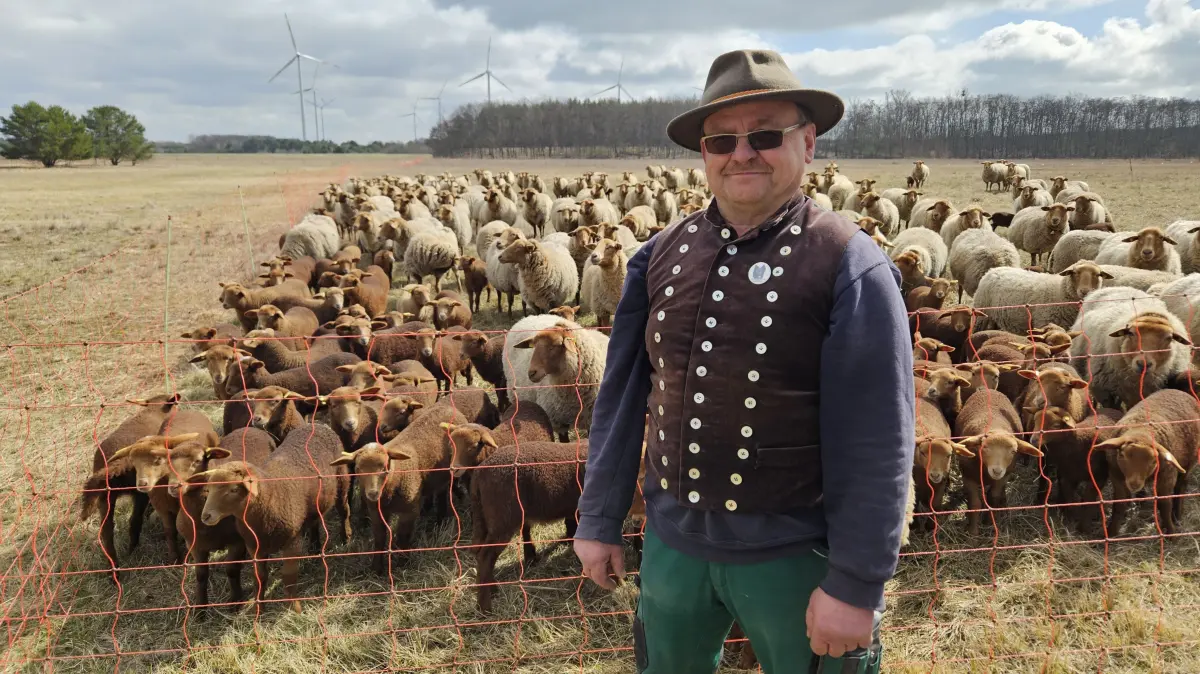 Neues Leben auf geschichtsträchtigem Grund: Schäfer Thomas Muche (59) mit seinen etwa einhundert Osterlämmern und deren Muttertieren auf dem Gelände von Terra Nova.
