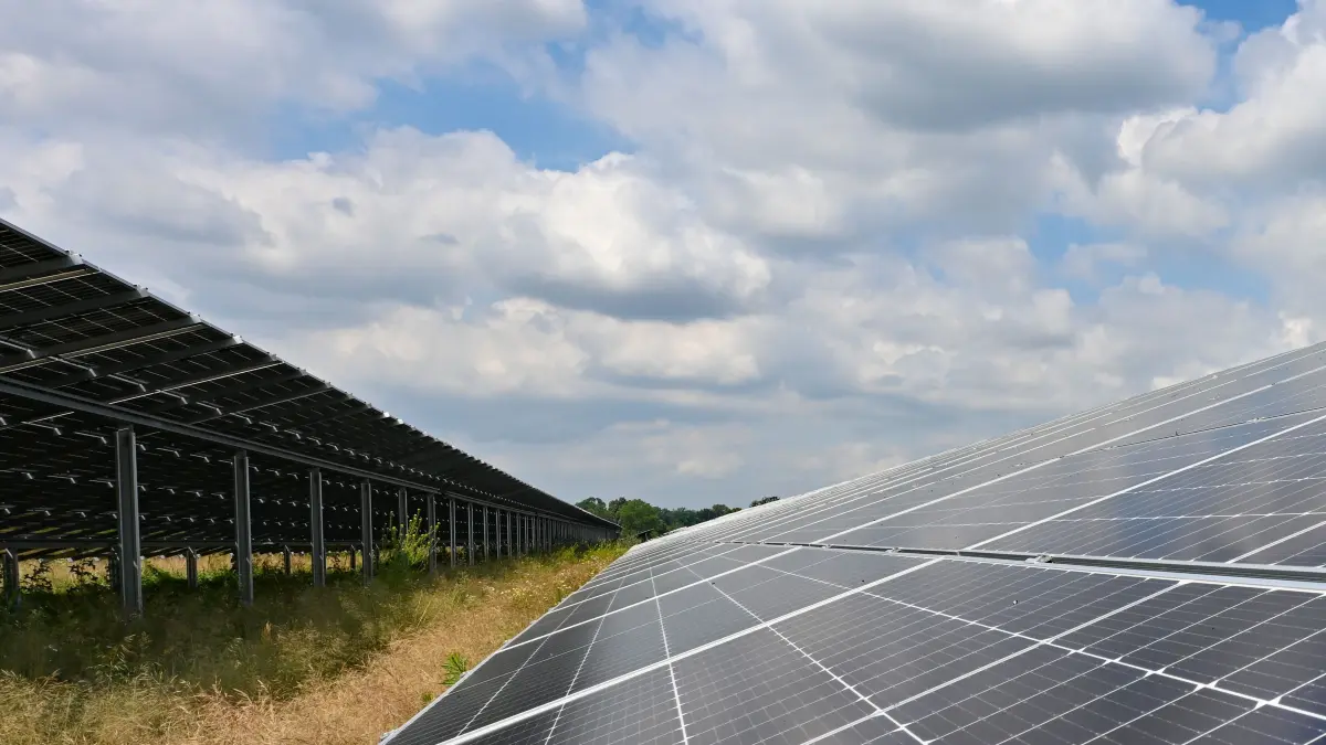 Ein Solarpark im Oderbruch. Die Solarbranche in Deutschland sieht wegen Plänen der Bundesregierung Investitionen in Milliardenhöhe gefährdet. (zu dpa: «Solarbranche sieht Investitionen in Milliardenhöhe gefährdet») +++ dpa-Bildfunk +++