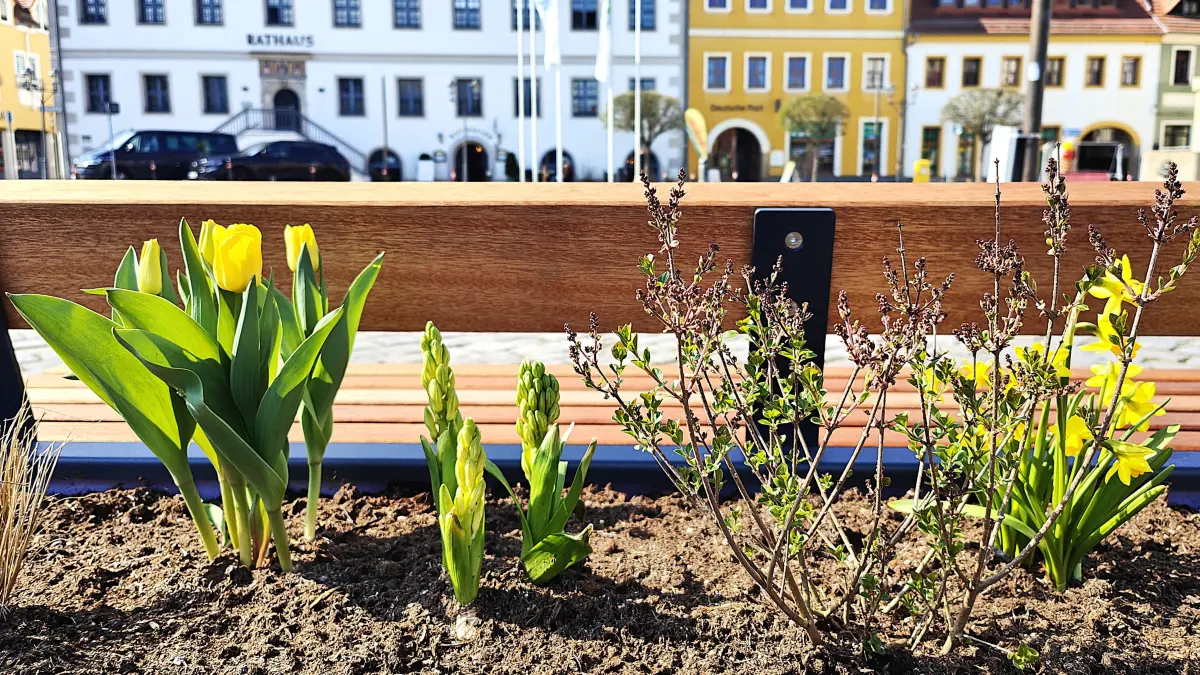 Bänke und Blumen werten den Altmarkt von Hoyerswerda auf.