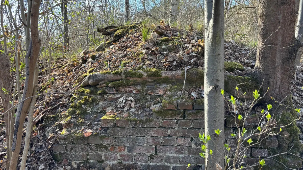Diese Ruinen sind im lichten Wald unweit von Sabrodt zu finden. Längst hat die Natur von den Überresten des Anwesens Besitz ergriffen.