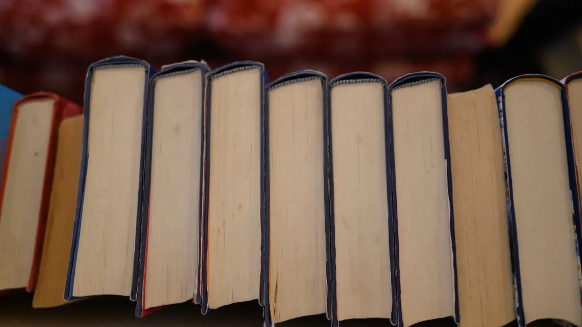 Millionen-Betrug mit angeblich wertvollen Büchern: ARCHIV - 18.04.2023, Sachsen, Dresden: Bücher stehen in einem Wohnzimmer in einem Regal. (zu dpa: «Polizei warnt vor Betrug beim Verkauf von Büchern») Foto: Robert Michael/dpa +++ dpa-Bildfunk +++