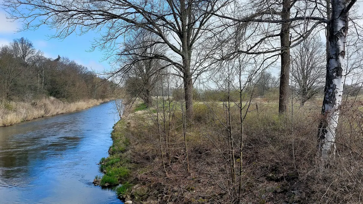 Die Neiße nahe Grießen bei Guben ist ein beliebtes Ausflugsziel für Sologänger und Radfreunde. Seit mehreren Jahren sorgt die Frage nach dem Ausbau des Hochwasserschutzes für Gesprächsstoff. Die Landesregierung hat ihren Umgang mit dem Thema nun bekräftigt.