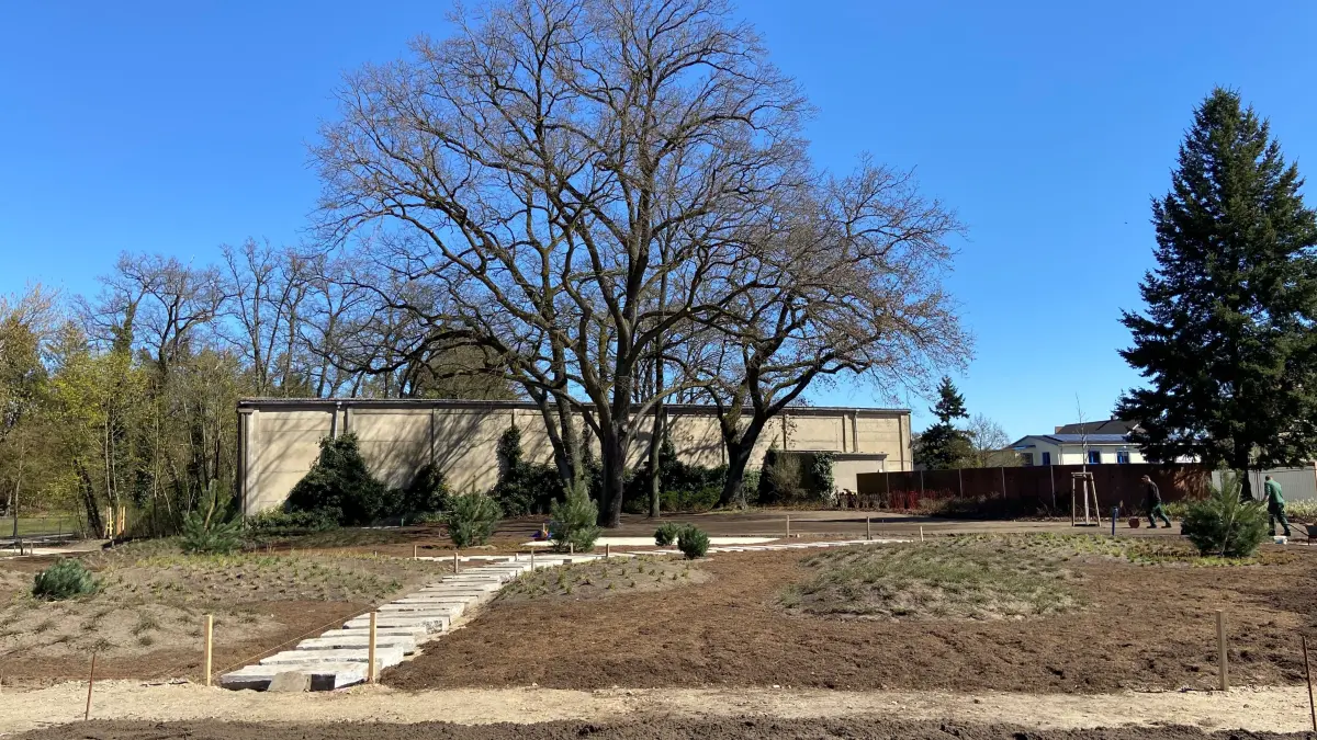Die künftige Blumenhalle der Landesgartenschau 2027 in Wittenberge.