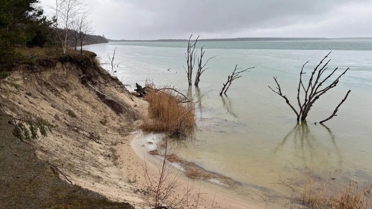 Mancherorts am Partwitzer See holen sich Wind und Wellen das Land, um es andernorts wieder anzulanden. Kein Wunder, dass es in Klein Partwitz Sorgen bezüglich der Ostböschung gibt.