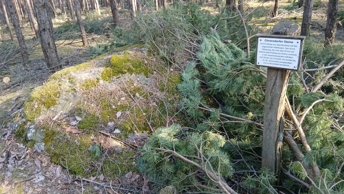 Die Sammlung „Chransdorfer Steine“ im Kiefernwald bei Großräschen umfasst zwei größere und einen kleineren Findling.