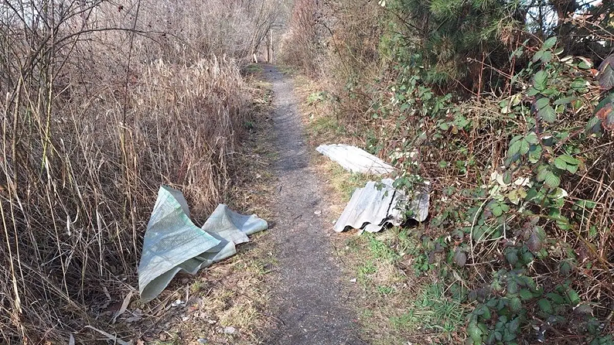 Hier hat sich jemand am Briesker Margaretengraben richtig ausgemistet. Darunter finden sich auch Reste von Wellasbest-Platten, die problematisch für die Gesundheit werden können.