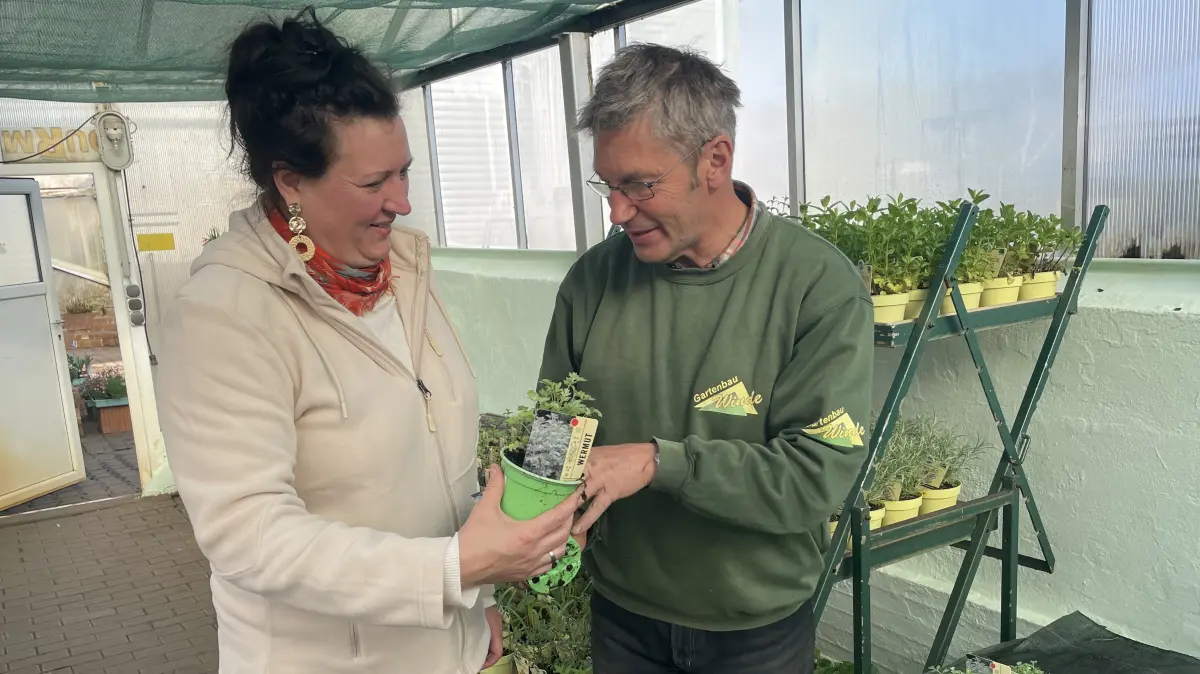 Rüdiger Winde zeigt Janet Kühne eine Wermutpflanze, die sich, verarbeitet zu einem Sud, auch zur Bekämpfung von Blattläusen eignet.