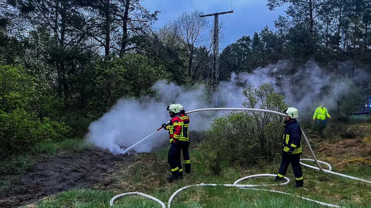 Einsatz der Feuerwehr in einem Waldstück bei Drebkau, im Hintergrund die Stromleitung.