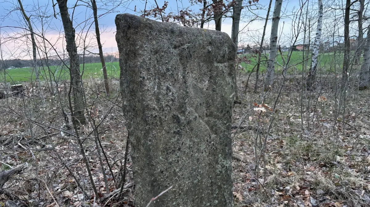 Impression von der uralten Stele auf dem Wittichenauer Galgenberg. Zeitnah dürfte die grünende Vegetation das Denkmal wieder in ihrem Schatten verschwinden lassen.
