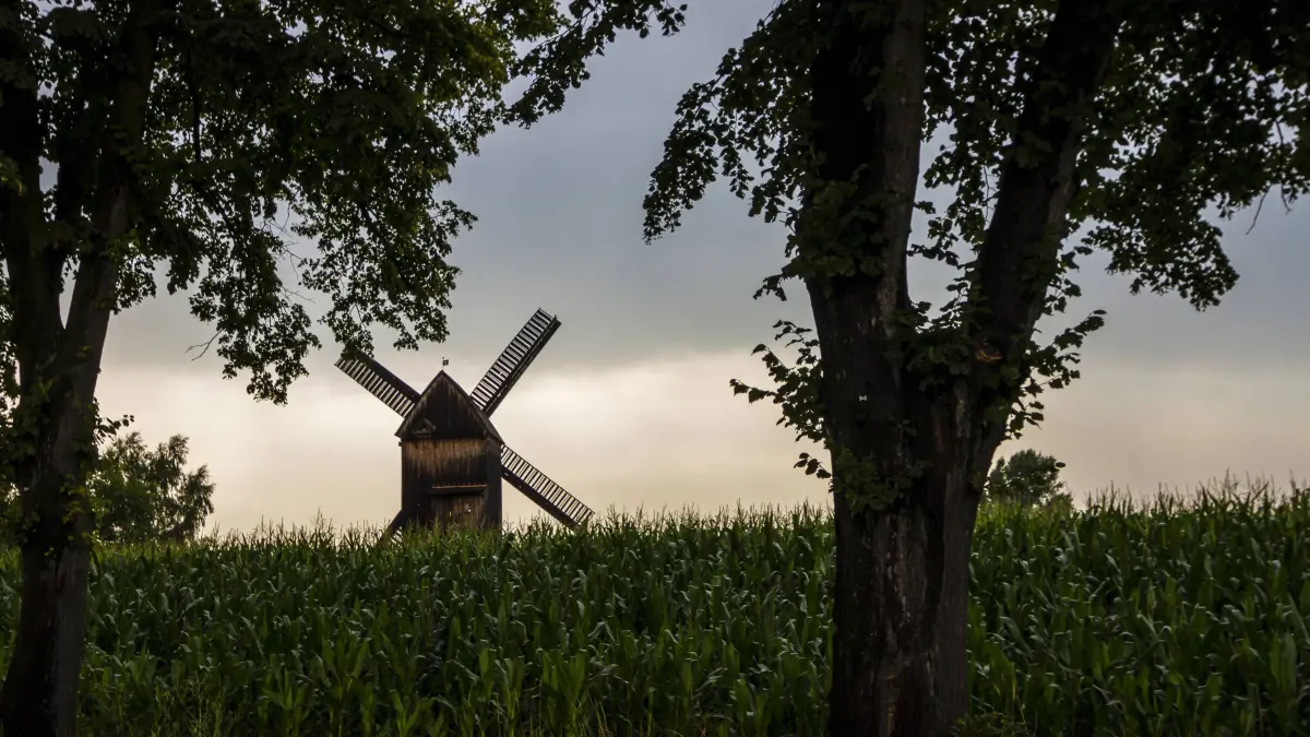 Germany Brandenburg Beelitz Bockmuehle at field Post mill PUBLICATIONxINxGERxSUIxAUTxHUNxONLY BI: Germany, Brandenburg, Beelitz, Bockmuehle at field, Post mill PUBLICATIONxINxGERxSUIxAUTxHUNxONLY BIG000036
Germany Brandenburg Beelitz Bockmuehle AT Field Post Mill PUBLICATIONxINxGERxSUIxAUTxHUNxONLY BIG000036