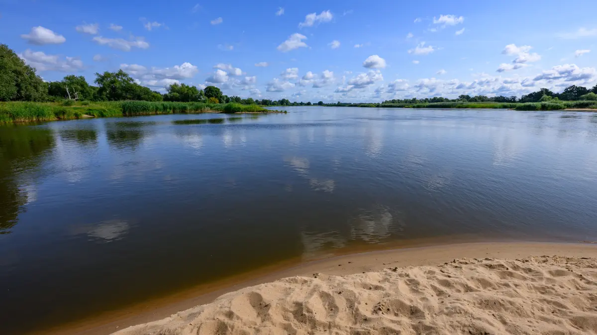 Der deutsch-polnische Grenzfluss Oder nördlich von Frankfurt (Oder). (zu dpa: «Fischbestand in Oder wächst - Risiko durch Alge bleibt») +++ dpa-Bildfunk +++