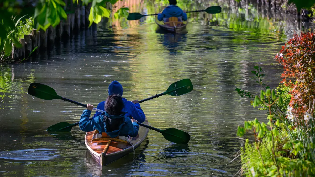 Frühling im Spreewald: 29.04.2026, Brandenburg, Lübbenau: Touristen unternehmen eine Paddeltour im Spreewald. Hochdruckeinfluss sorgt heute für viel Sonnenschein in Berlin und Brandenburg - in der Nacht gibt es dann aber vielerorts Frost. Der Deutsche Wetterdienst rechnet am frühen Donnerstagmorgen mit Temperaturen zwischen 0 und -5 Grad. Foto: Patrick Pleul/dpa +++ dpa-Bildfunk +++