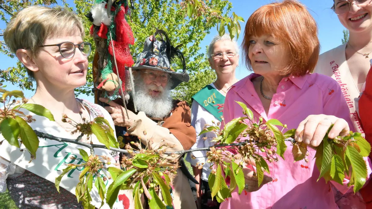 Äppelmoid Jana Reichel, Günter Kalliske als Grünes Männchen aus der Calauer Schweiz, Appeltatenmajestät Beate Günther aus Gladbeck/Dresden, die Organisatorin des Blütenfestes in Döllingen, Andrea Opitz, und Blütenkönigin Paula Marie Krausch (von links) schauen sehr genau, ob der Frost Schaden angerichtet hat.