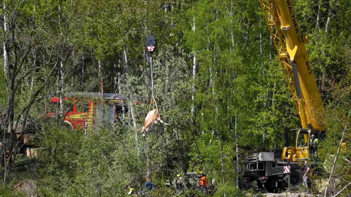 Kuh Luise schwebt über dem Steinbruch. Die Kuh war am Freitag ausgebüxt. Viele Stunden und zwei Rettungsversuche später, konnte das Tier aus seiner misslichen Lage befreit werden.