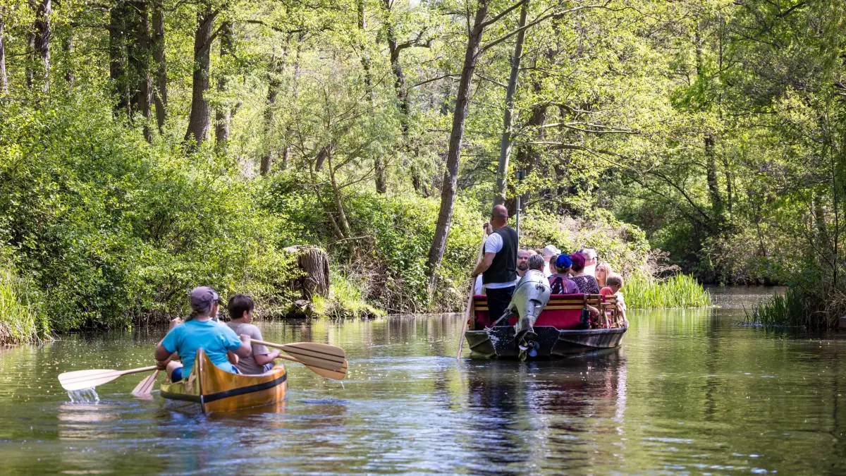 Wetter in Südbrandenburg: 03.05.2026, Brandenburg, Lübben: Paddler fahren bei sommerlichen Temperaturen auf der Spree an einem voll besetzten Spreewaldkahn vorbei. Die Temperaturen in der Region erreichen heute knapp die 30-Grad-Marke. Auch morgen und am Dienstag bleibt es warm und sonnig. Dienstag können erste Schauer und Gewitter auftreten. Mittwoch setzt eine kurze Abkühlung ein. Foto: Frank Hammerschmidt/dpa +++ dpa-Bildfunk +++