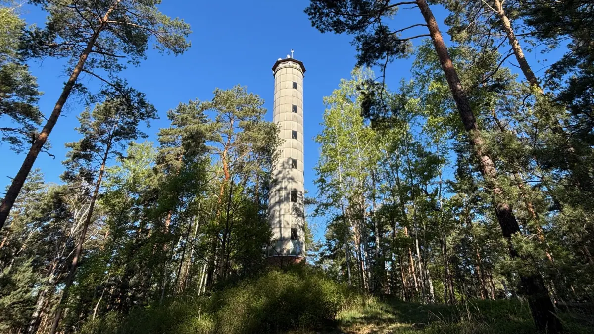 Blick auf den Gipfel des Gerichtsberges mit dem Feuerwachturm südwestlich von Hoyerswerda. Eine Aussicht bietet sich aufgrund des geschlossenen Waldbildes jedoch nicht.