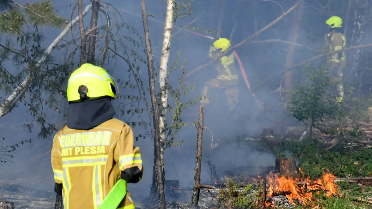 Schüsse hinterm Todesstreifen – Waldbrand auf dem Gelände der alten Munitionsbunker zwischen Hohenleipisch und Gorden: Schüsse hinterm Todesstreifen – Waldbrand auf dem Gelände der alten Munitionsbunker zwischen Hohenleipisch und Gorden
- Die Löscharbeiten unmittelbar hinter dem alten Todesstreifen wurden immer wieder von Schüssen begleitet, die durch auf dem Gelände verstreuter Infanteriemunition verursacht wurden