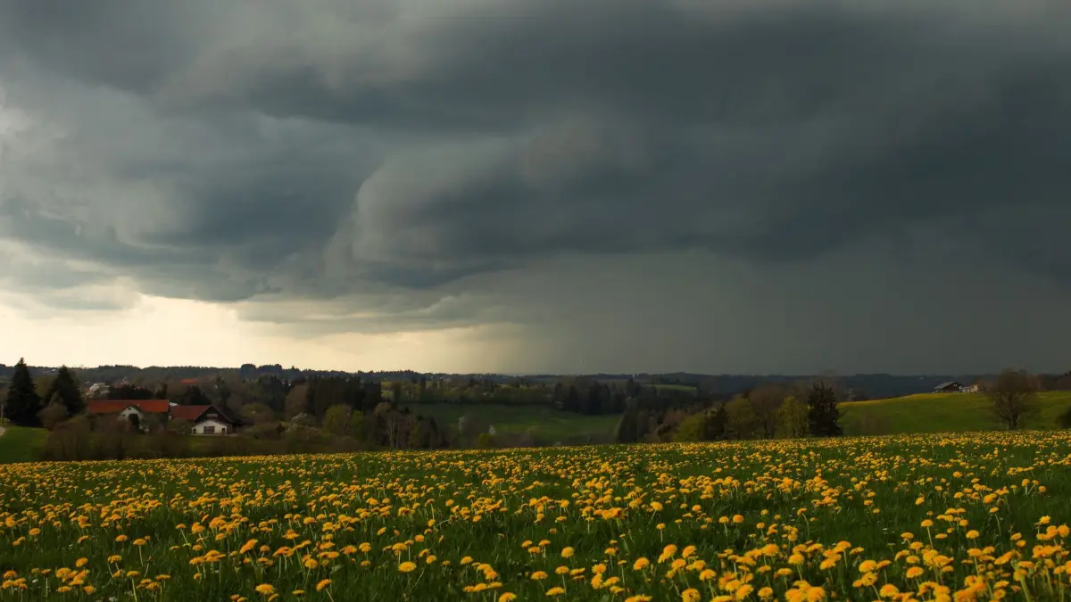 Dunkle Wolken in Bayern: ARCHIV - 19.04.2026, Bayern, Marktoberdorf: Dunkle Gewitterwolken ziehen schwer und bedrohlich über die weiten Felder im Landkreis Ostallgäu auf und tauchen die Landschaft in ein unheimliches, gedämpftes Licht. (zu dpa: «Regenschauer und Gewitter beenden die Sonnenphase in Bayern») Foto: Alexander Wolf/onw-images/dpa +++ dpa-Bildfunk +++