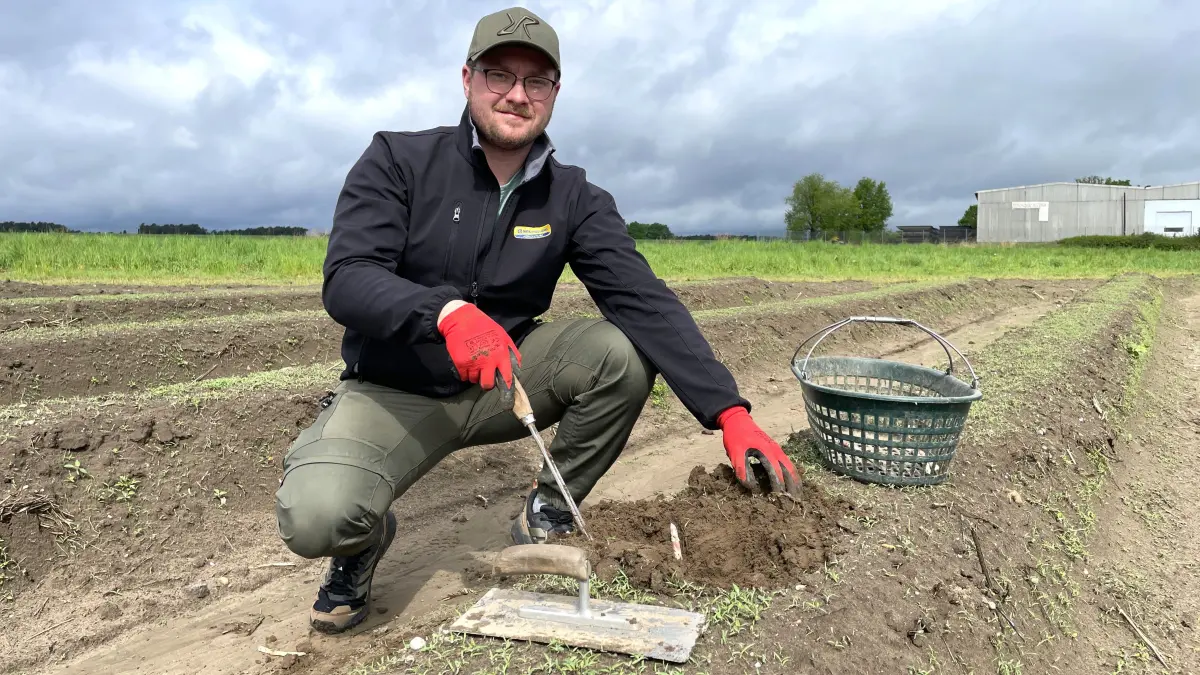 Max Scharkowski vom Spargelhof Kalkwitz am 6.5.2026 auf dem Feld zur Selbststeche