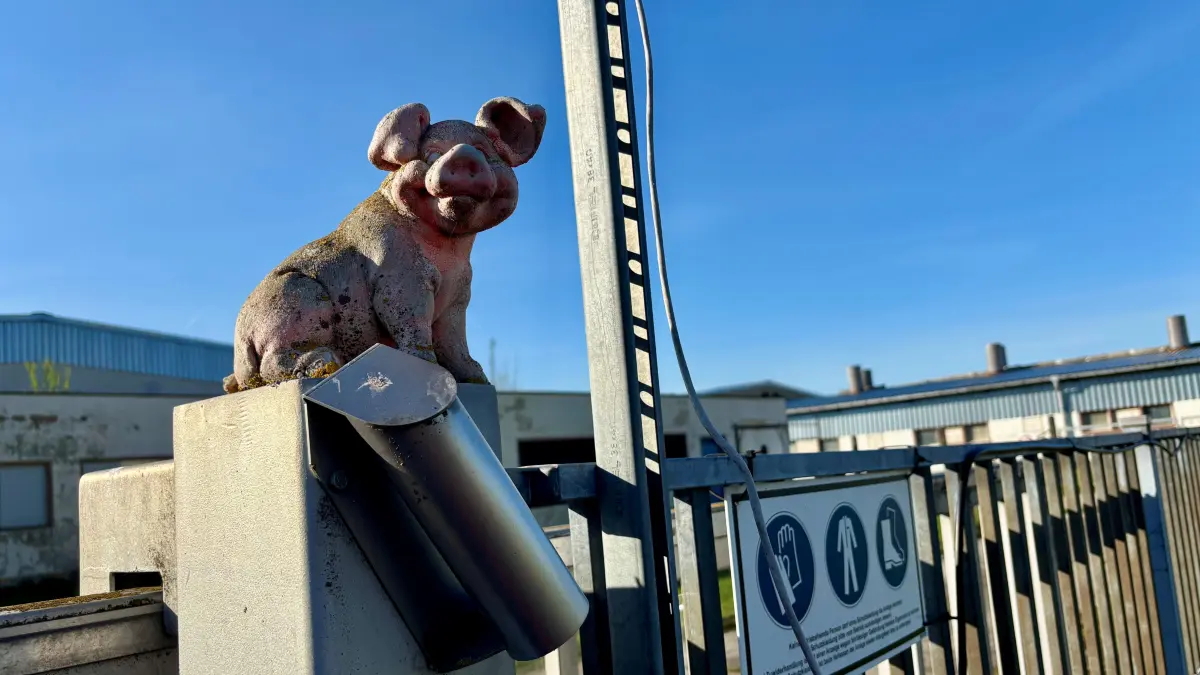 In Drebkau bei Cottbus will die Storkower Geflügelmast GmbH eine alte Schweinemastanlage in eine Hühnermastanlage umbauen.