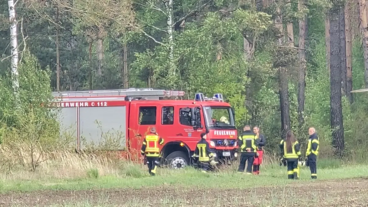 Tödlicher Arbeitsunfall bei Baumfällarbeiten in Waldstück bei Jämlitz