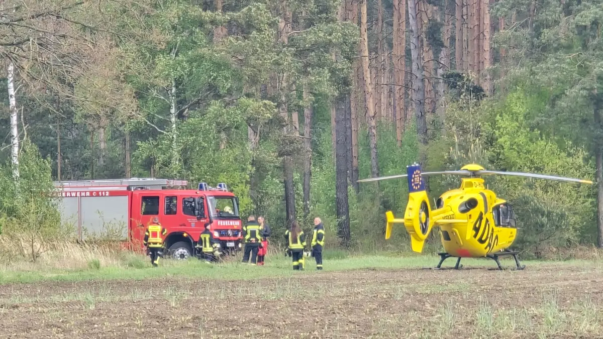 Tödlicher Arbeitsunfall bei Baumfällarbeiten in Waldstück bei Jämlitz