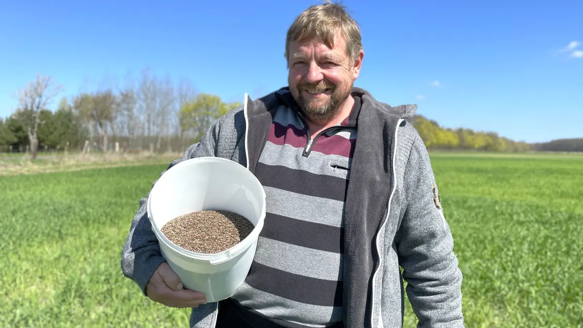 Landwirt Torsten Richter auf seinem Feld bei Bolschwitz/ Calau am 17.04.2026 mit einem Eimer selbstgeernteter Linsen