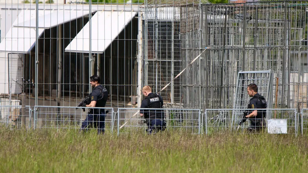 Polizei erschießt entlaufenen Tiger bei Leipzig: 17.05.2026, Sachsen, Schkeuditz: Schwer bewaffnete Polizisten sind in einem Gewerbegebiet an einer Käfig-Anlage für Raubkatzen im Einsatz. Die Polizei hat am Nachmittag bei Leipzig einen entlaufenen Tiger erschossen. Das Tier war aus einer privaten Anlage entkommen, wie eine Polizeisprecherin sagte. Ein Mann sei leicht verletzt worden. Foto: Björn Stach/EHL Media/dpa +++ dpa-Bildfunk +++