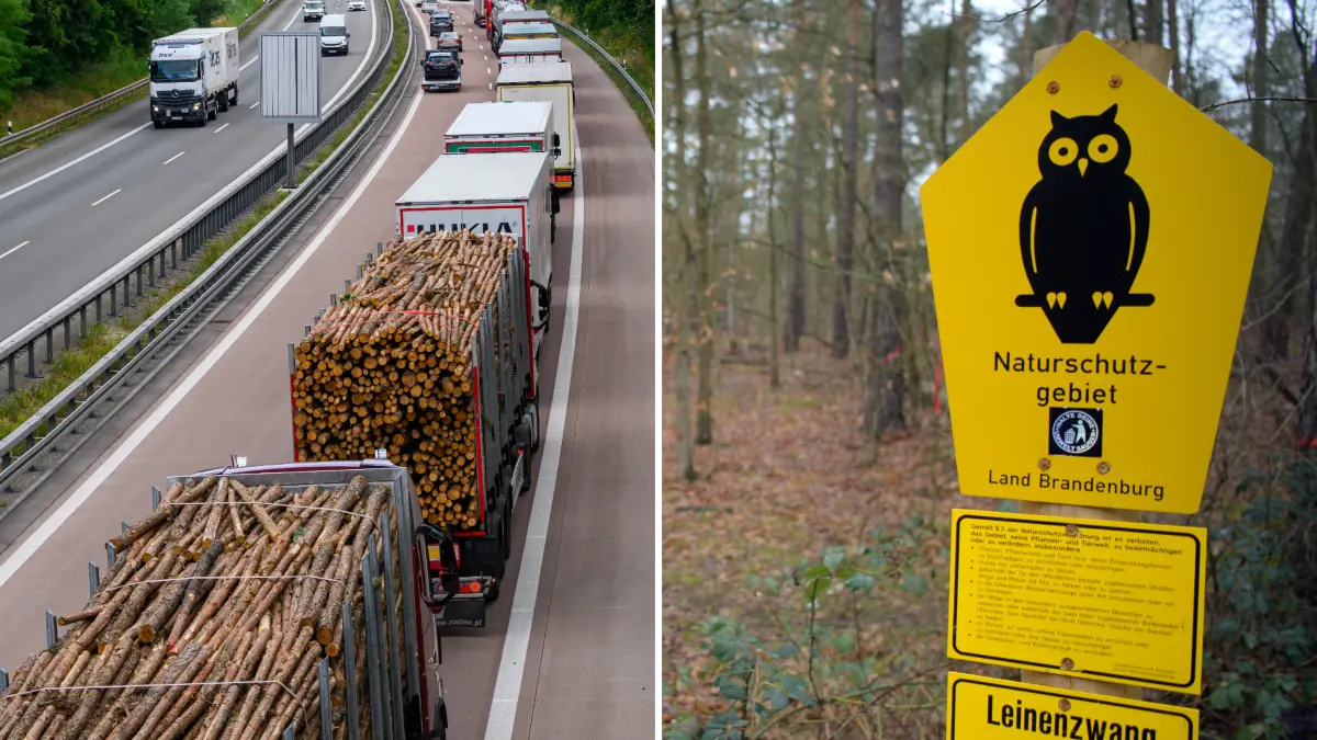Der sechsspurige Ausbau der A12 betrifft auch die Naturschutzgebiete entlang der Autobahn. Welche sind es und wie stark ist der Schutzstatus?