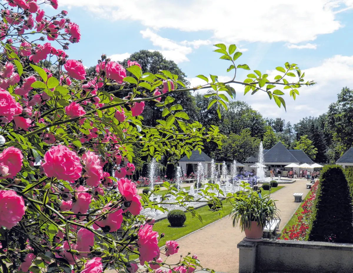 Der Rosengarten in Forst ist ein beliebtes Ausflugsziel⇥Stadt Forst