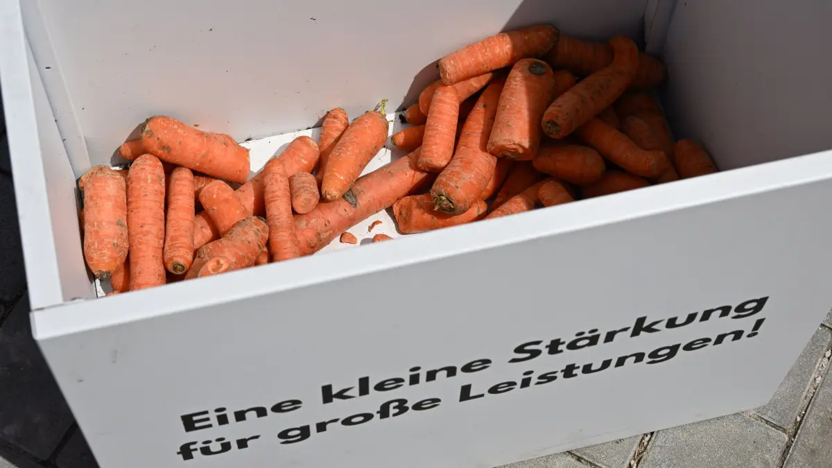 Sielow Reiten Pfingsten 2026: Leckerlis für die Pferde.
Erstklassigen Reitsport gab es am vergangenen Wochenende beim 54. Pfingst- Reit- und Springturnier des Reitvereins Sielow im Reitstadion Sielow. Rund 700 Nennungen mit 350 Reiter-Pferd-Paaren zu den einzelnen Prüfungen konnten die Veranstalter in diesem Jahr verzeichnen. Auf dem Programm der drei Turniertage standen 21 Springprüfungen, darunter gleich fünf Springen der schweren Klasse. Einer der Höhepunkte war auch in diesem Jahr der mit 6 000 Euro dotierte Große Preis der Sparkasse Spree-Neiße am Pfingstsonntagnachmittag. Die S** Prüfung, die zugleich die Qualifikation für Reiten & Zuchtstartplatz beim CSI in Neustadt/Dosse 2026 war, gewann im Stechen wie im Vorjahr Johanna Zander-Keil von der TSG Ponnyfarm Berlin Kladow e.V. auf Boleybawn Actor in einer Zeit von 41,45 Sekunden und Null Fehlern.