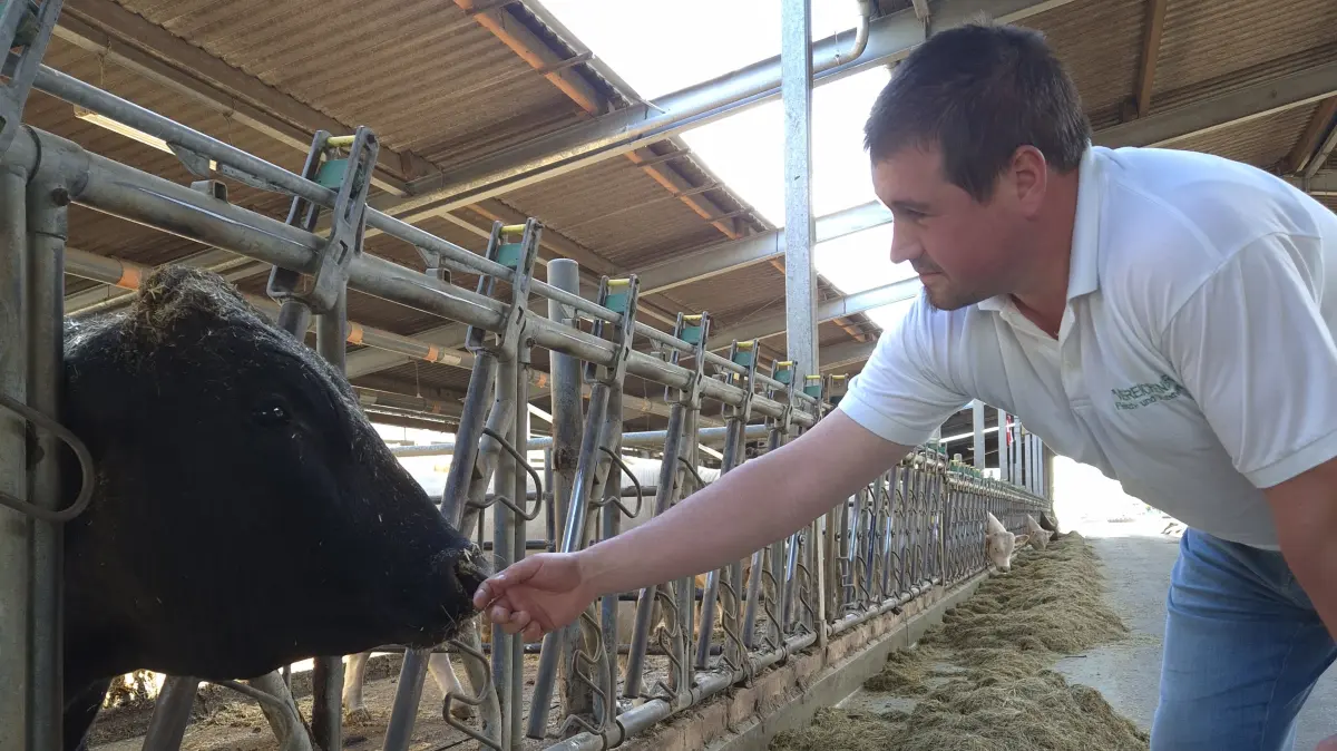 Henrik Brunsch ist Geschäftsführer der Viereichener Fleisch- und Wurstwaren GmbH. Er setzt jetzt auch auf Wagyu-Rinder.