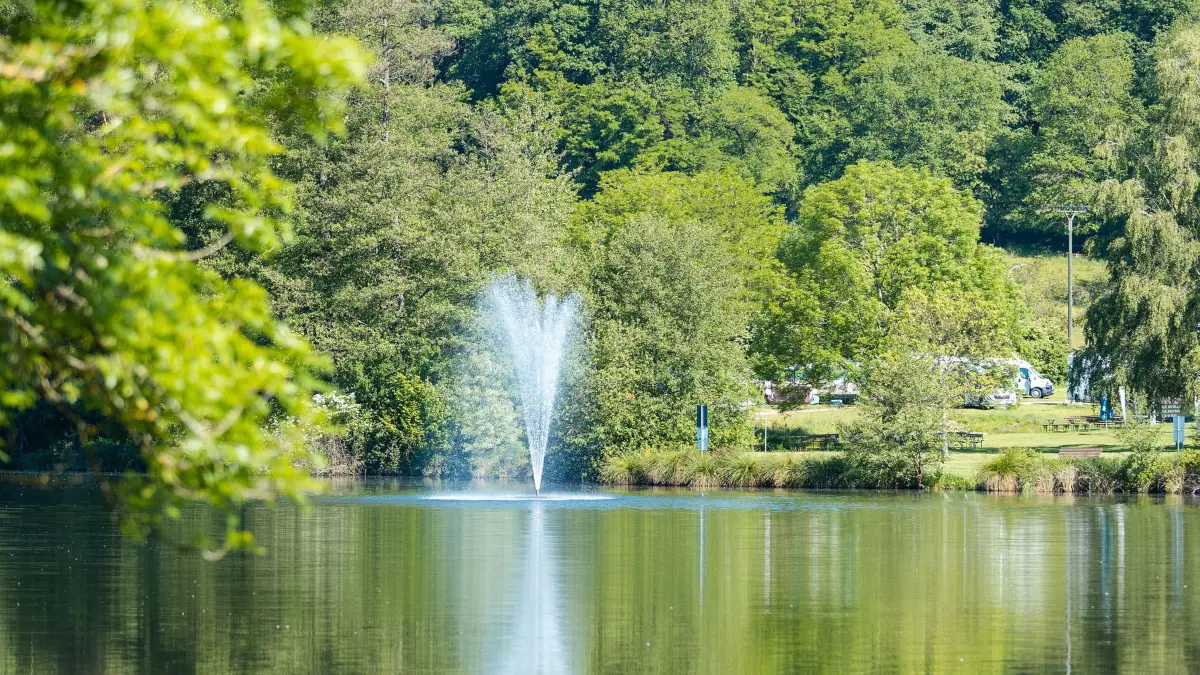 Sommerliches Wetter in Rheinland-Pfalz und im Saarland: ARCHIV - 23.05.2026, Saarland, Niederwürzbach: Noch ist es ruhig am Niederwürzbacher Weiher im Saarland. Doch schon am frühen Morgen knallt die Sonne bei 26 Grad erbarmungslos vom Himmel. (zu dpa: «Sommerliche Temperaturen und Gewitter erwartet») Foto: Laszlo Pinter/dpa +++ dpa-Bildfunk +++