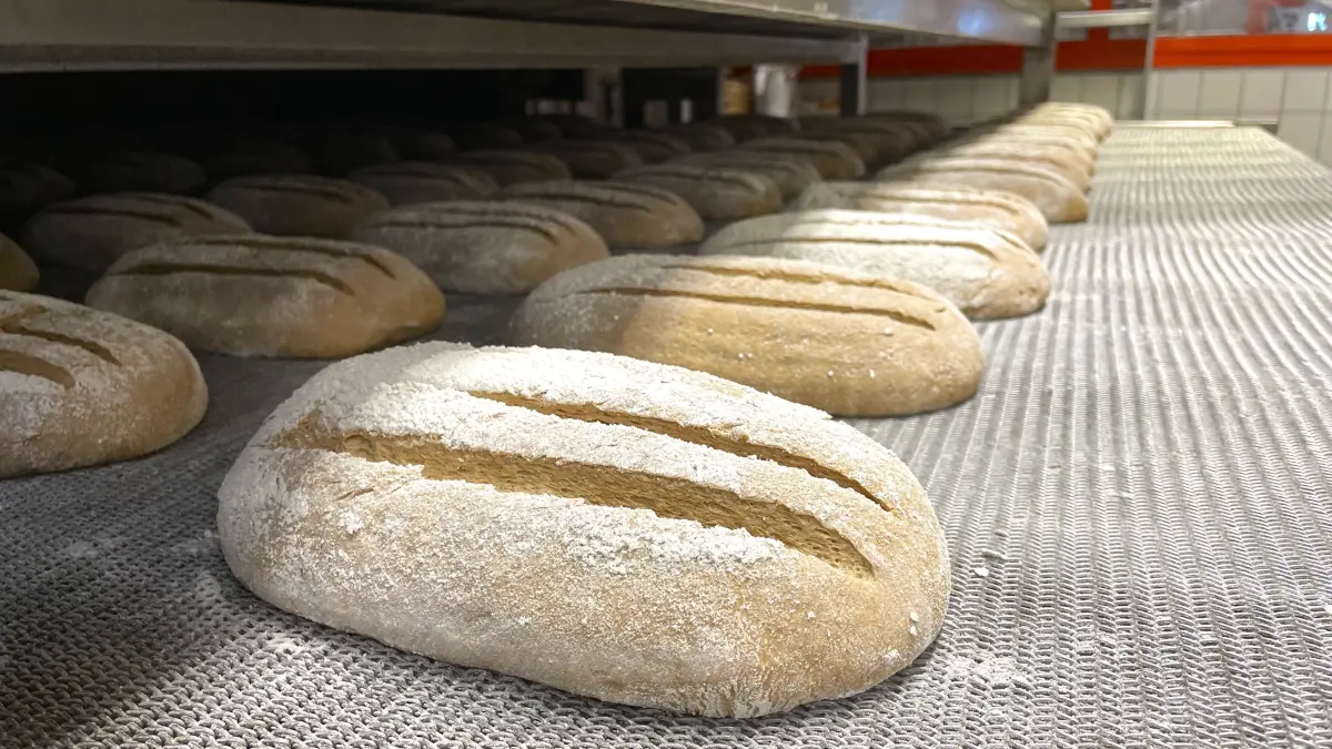 Brot vom Fließband: Die Bäckerei Sternenbäck produziert in Spremberg für rund 50 Filialen in ganz Ostdeutschland. Foto vom 19.05.2026