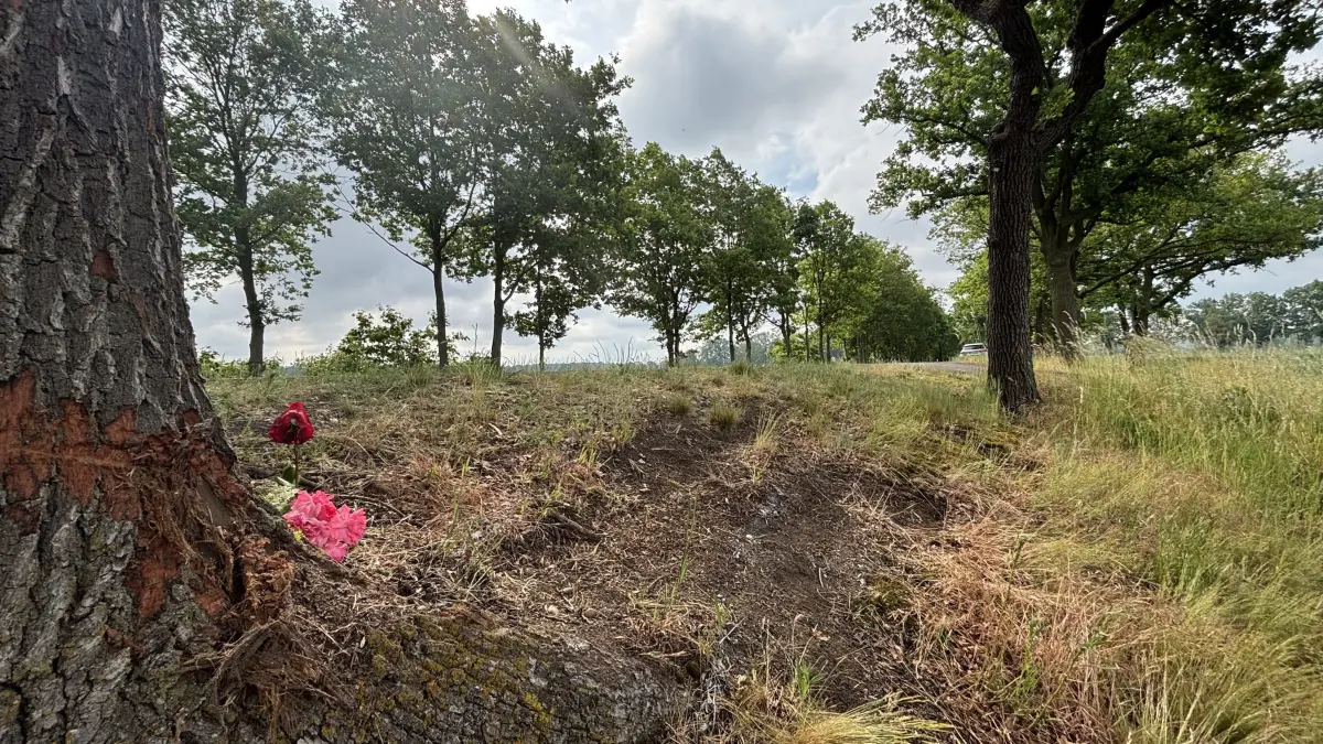 Eine Motorrad-Ausfahrt mit tödlichem Ausgang: Am 30. Mai 2026 verunglückt auf der Landesstraße L63 ein 18-Jähriger. Unbekannte haben an der Unfallstelle nahe Lindenau Blumen niedergelegt.