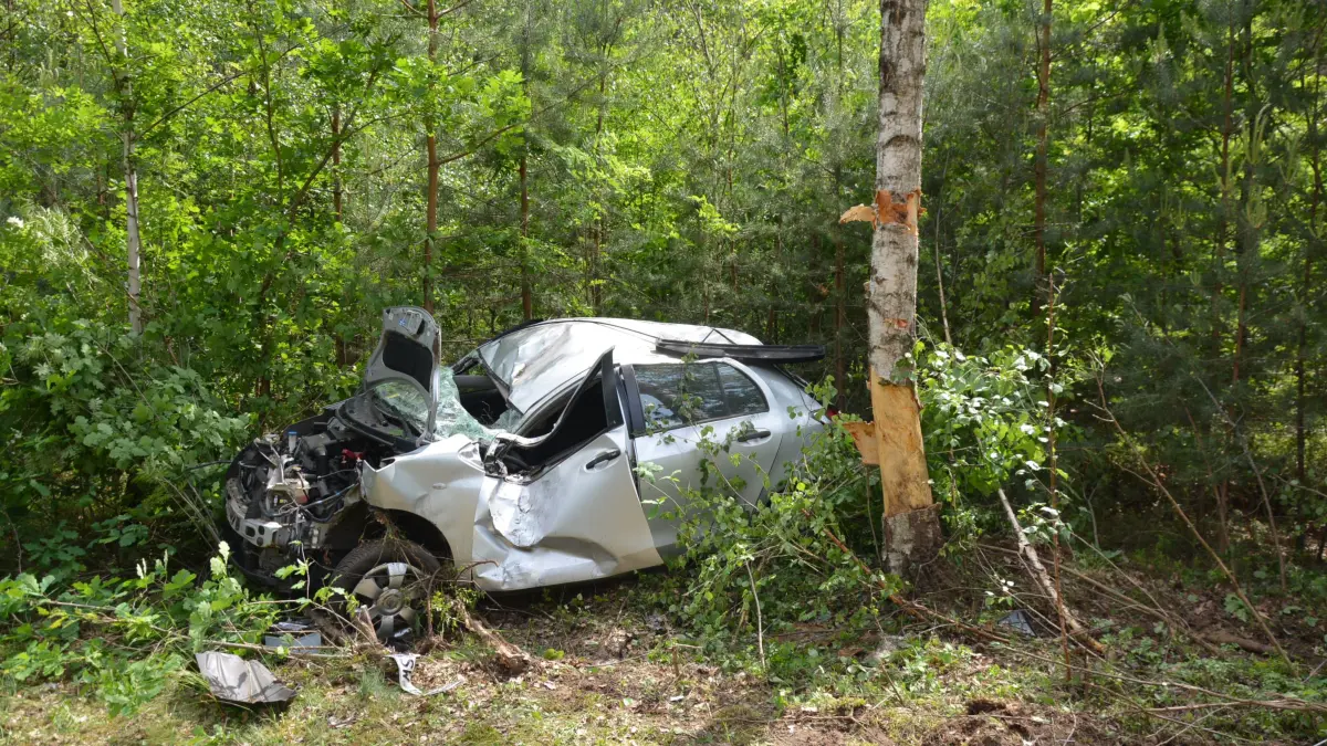 Toyota prallt zwischen Graustein und Schleife gegen einen Baum.