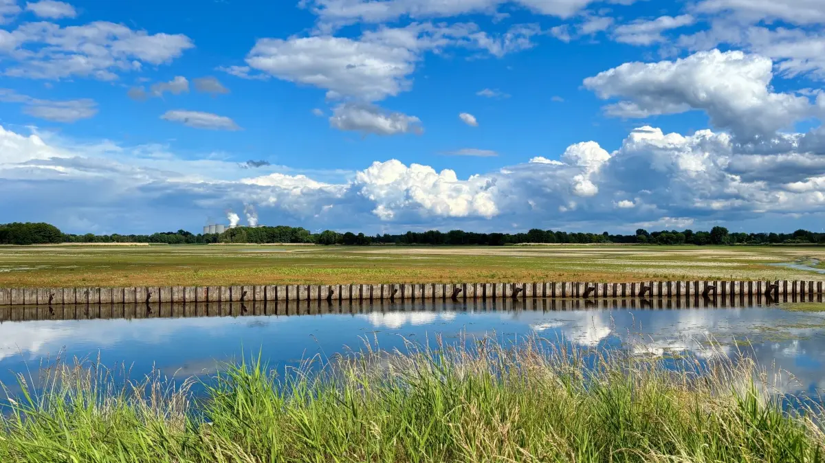 Der Teufelsteich an der Bundesstraße B169 zwischen Cottbus und Peitz (Spree-Neiße) ist leer. Nur im Vordergrund ist noch etwas Wasser zu sehen, dahinter ist Wiese. Normalerweise wachsen hier die Karpfen der Teichwirtschaft Peitz heran.
