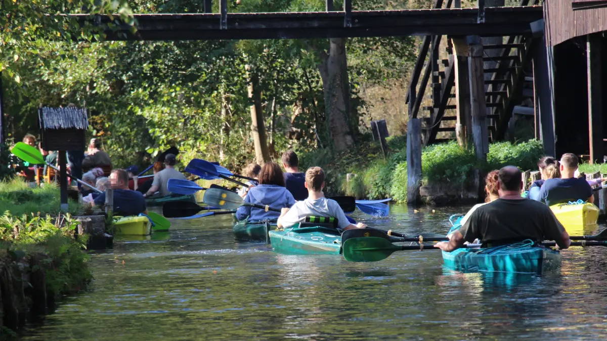 Paddeln im Spreewald