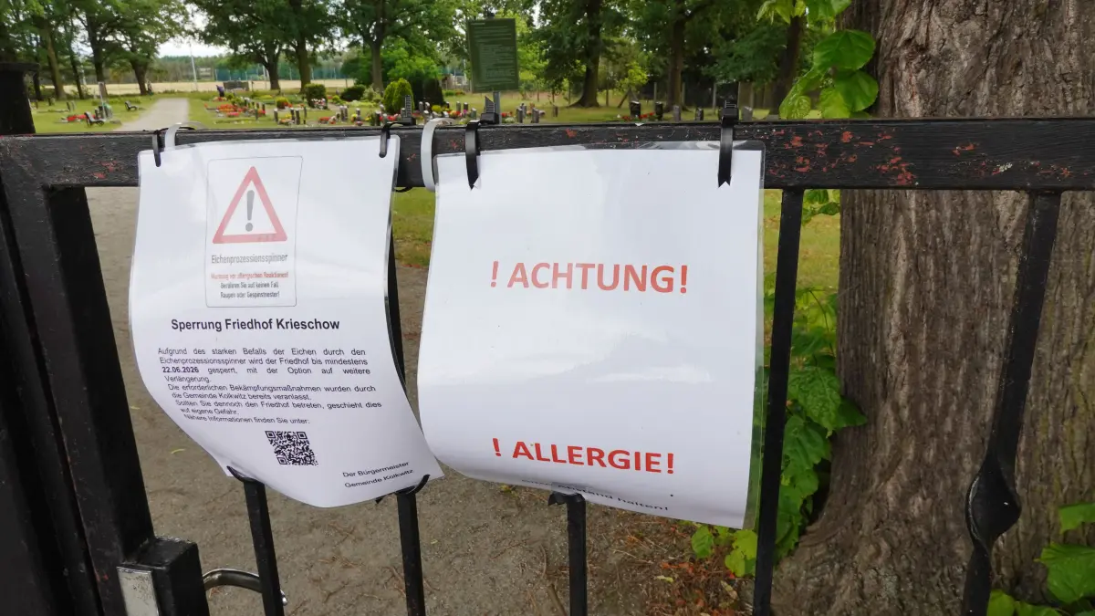 Auf Grund des Befalls mit dem Eichenprozessionspinner und der damit verbundenen Allergiegefahr sind der Friedhof und der Sportpark Krieschow aktuell gesperrt.